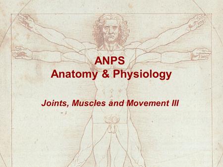 ANPS Anatomy & Physiology Joints, Muscles and Movement III.
