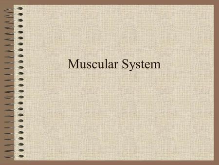 Muscular System. Agriculture, Food, and, Natural Resource Standards Addressed AS.01.01. Evaluate the development and implications of animal origin, domestication.