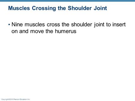 Copyright © 2010 Pearson Education, Inc. Muscles Crossing the Shoulder Joint Nine muscles cross the shoulder joint to insert on and move the humerus.