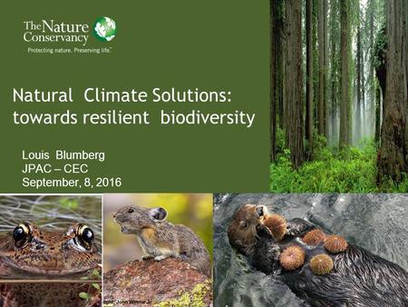 Photo credits: (Top) Richard Herrmann; (Bottom) Donna McCoy, Macduff Everton 1 Natural Climate Solutions: towards resilient biodiversity Louis Blumberg.
