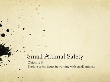 Small Animal Safety Objective 8 Explore safety issues in working with small animals.