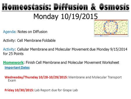 Important Dates Wednesday/Thursday 10/28-10/29/2015: Membrane and Molecular Transport Exam Friday 10/30/2015: Lab Report due for Grape Lab Monday 10/19/2015.