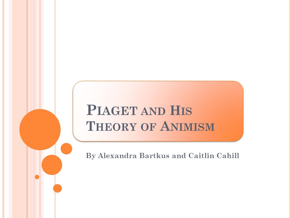Animism cognitive development hot sale