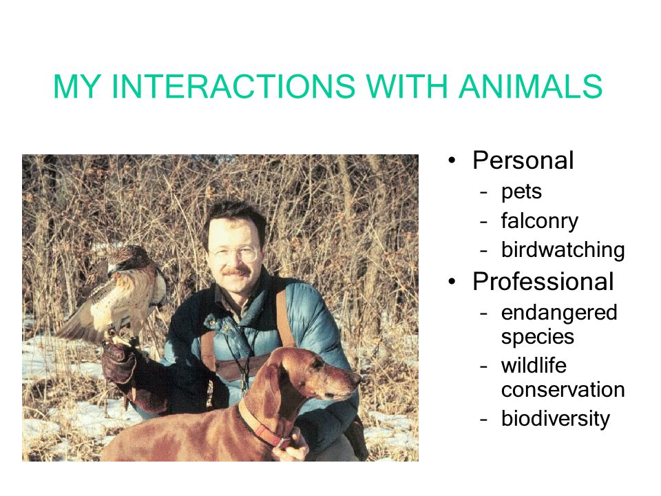MY INTERACTIONS WITH ANIMALS Personal –pets –falconry –birdwatching  Professional –endangered species –wildlife conservation –biodiversity. -  ppt download