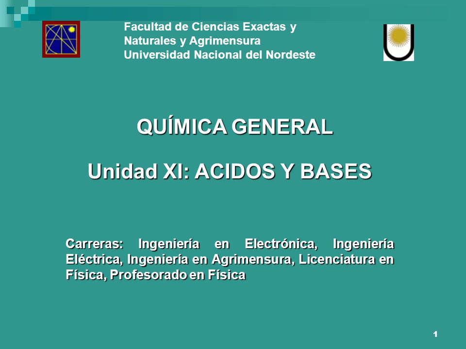 Facultad de Ciencias Exactas y Naturales y Agrimensura - ppt video online  descargar