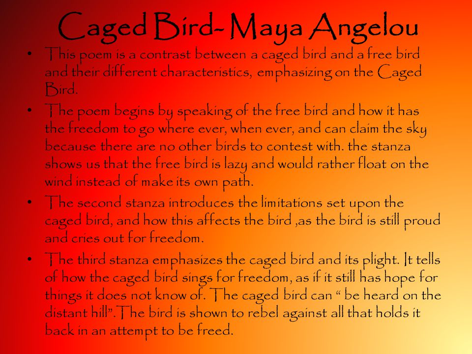 why the caged bird sings summary
