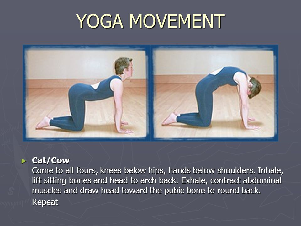 YOGA MOVEMENT ▻ Cat/Cow Come to all fours, knees below hips, hands below  shoulders. Inhale, lift sitting bones and head to arch back. Exhale,  contract. - ppt download