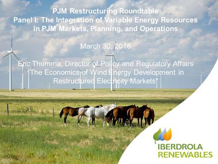 PJM Restructuring Roundtable Panel I: The Integration of Variable Energy Resources in PJM Markets, Planning, and Operations March 30, 2016 Eric Thumma,