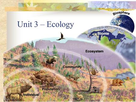Unit 3 – Ecology. Ecology – The study of the interactions of the living and non-living world.