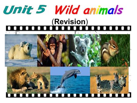 Wild animals (Revision). tiger dolphin elephant Which animal is it? It is big and strong, it can carry heavy things with its long nose. 1 It is a sea.