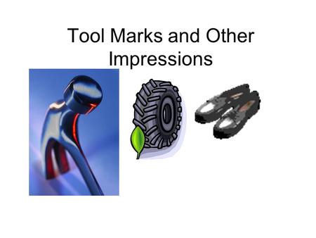 Tool Marks and Other Impressions. Tool Marks Tools in Crime Locking Pliers Needle Nose Locking Pliers Slip Joint Pliers Tongue and Groove Pliers Linemans.