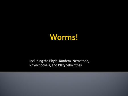 Including the Phyla: Rotifera, Nematoda, Rhynchocoela, and Platyhelminthes.