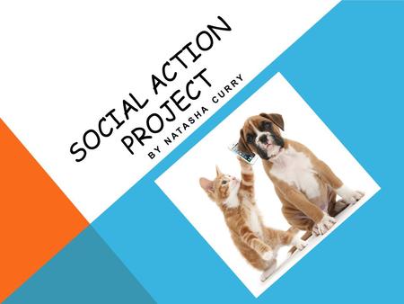SOCIAL ACTION PROJECT BY NATASHA CURRY. ABOUT ST. ELMO'S VETERINARY CLINIC St. Elmo’s veterinary clinic, is a small clinic that deals with a variety of.