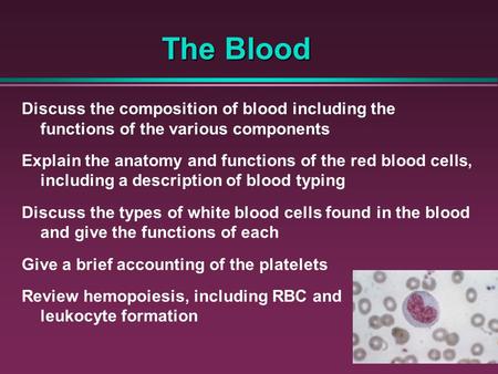 The Blood The Blood Discuss the composition of blood including the functions of the various components Explain the anatomy and functions of the red blood.