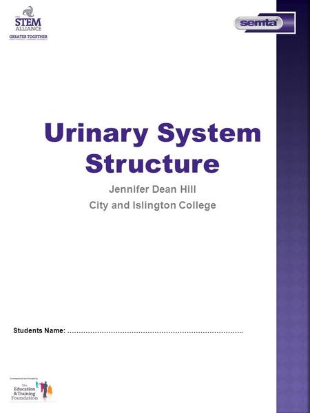 Urinary System Structure Jennifer Dean Hill City and Islington College Students Name: …………………………………………………………………..