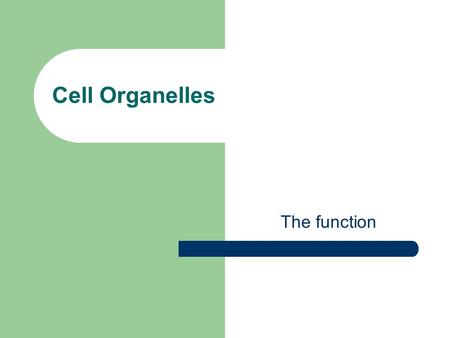 Cell Organelles The function. What is an organelle? A specialized structure that performs important cellular functions within a eukaryotic cell. Also.