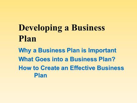 Developing a Business Plan Why a Business Plan is Important What Goes into a Business Plan? How to Create an Effective Business Plan.