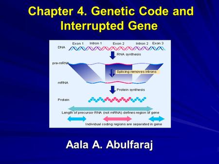 Genetic Code and Interrupted Gene Chapter 4. Genetic Code and Interrupted Gene Aala A. Abulfaraj.