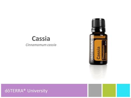 Cassia Cinnamomum cassia dōTERRA® Product Tools dōTERRA® University.