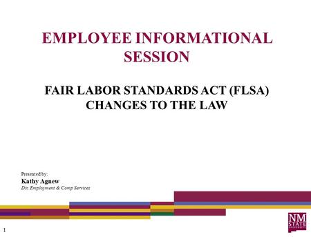 EMPLOYEE INFORMATIONAL SESSION FAIR LABOR STANDARDS ACT (FLSA) CHANGES TO THE LAW Presented by: Kathy Agnew Dir, Employment & Comp Services 1.