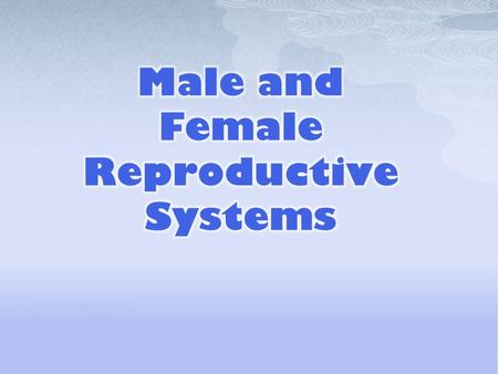  Why is it important to know and understand the functions of the male reproductive system (MRS)?