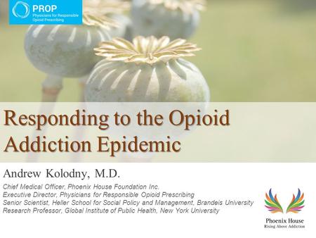 Responding to the Opioid Addiction Epidemic Andrew Kolodny, M.D. Chief Medical Officer, Phoenix House Foundation Inc. Executive Director, Physicians for.