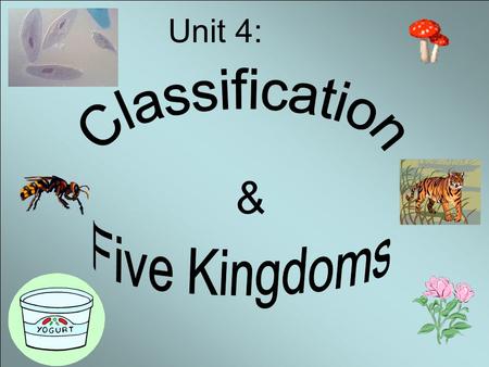 & Unit 4:. Objectives: 1.Know the founder of classification. 2. Know the seven levels of classification. 3. Know how to name organisms using scientific.