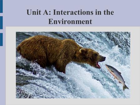 Unit A: Interactions in the Environment. 1.0 Ecosystems are communities where biotic and abiotic elements interact ● North American Aboriginal peoples.