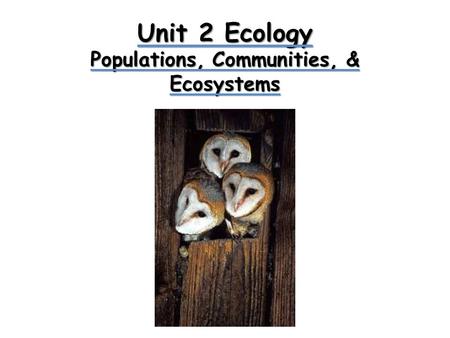 Unit 2 Ecology Populations, Communities, & Ecosystems.