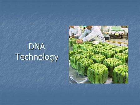 DNA Technology. Definitions Genetic engineering - process of altering genes to combining DNA from two or more organisms. Genetic engineering - process.
