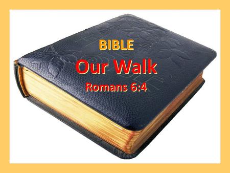 BIBLE Our Walk Romans 6:4 BIBLE Our Walk Romans 6:4.