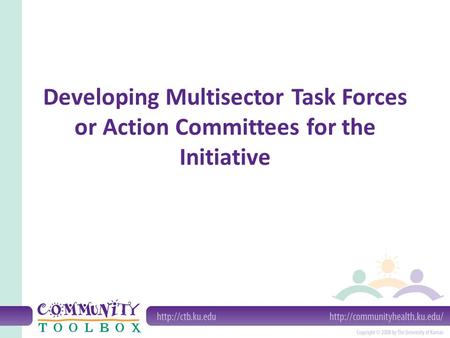Developing Multisector Task Forces or Action Committees for the Initiative.