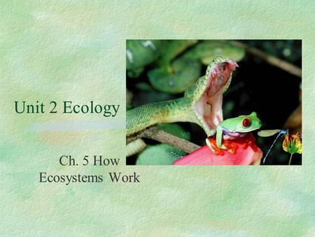 Unit 2 Ecology Ch. 5 How Ecosystems Work. Section 5-1: Energy Flow in Ecosystems.