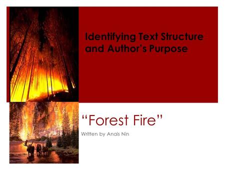 “Forest Fire” Identifying Text Structure and Author’s Purpose