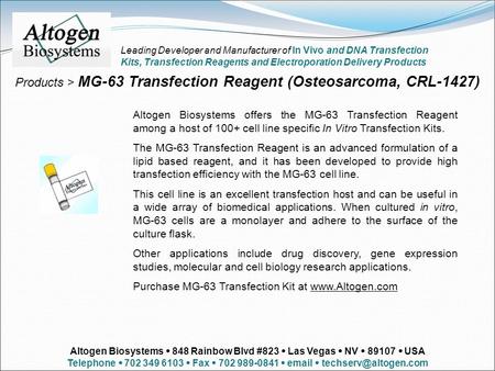 Products > MG-63 Transfection Reagent (Osteosarcoma, CRL-1427) Altogen Biosystems offers the MG-63 Transfection Reagent among a host of 100+ cell line.