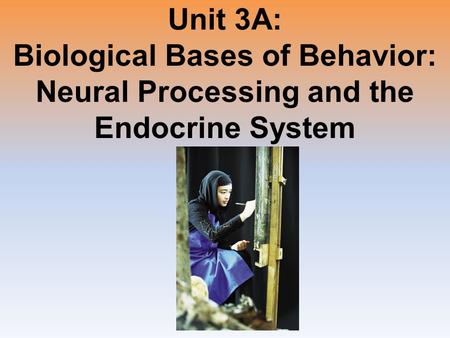 Unit 3A: Biological Bases of Behavior: Neural Processing and the Endocrine System.