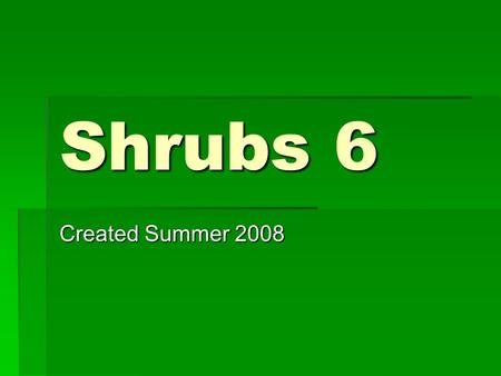 Shrubs 6 Created Summer 2008 BOTANICAL NAME  ILEX VOMITORIA ‘NANA’