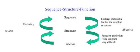 Sequence-Structure-Function Sequence Structure Function Threading Ab initio BLAST Folding: impossible but for the smallest structures Function prediction.