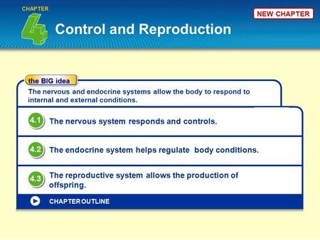 Control and Reproduction CHAPTER the BIG idea CHAPTER OUTLINE The nervous and endocrine systems allow the body to respond to internal and external conditions.