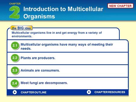 Introduction to Multicellular Organisms CHAPTER the BIG idea Multicellular organisms live in and get energy from a variety of environments. Multicellular.