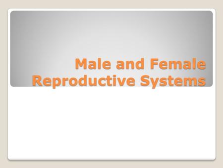 Male and Female Reproductive Systems. Male Reproductive System & Functions – Penis-male sex organ – Foreskin-protects – Scrotum-sac that holds the testes,