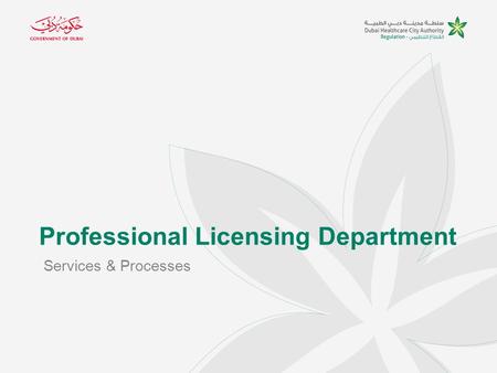 Professional Licensing Department Services & Processes.