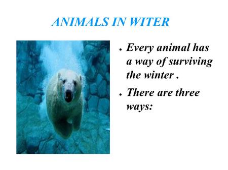 ANIMALS IN WITER ● Every animal has a way of surviving the winter. ● There are three ways: