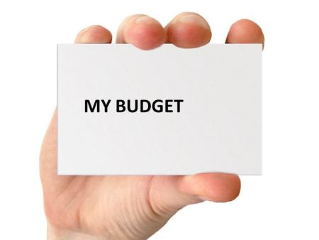 MY BUDGET. You are 30 years old and make $80,000 year.