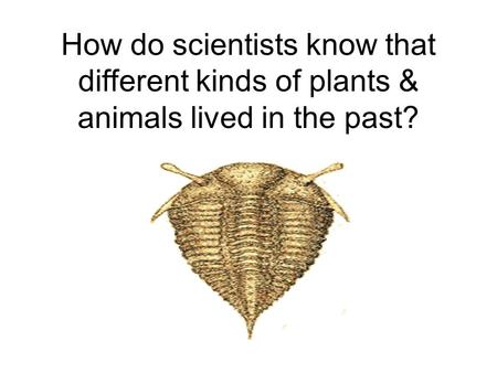 How do scientists know that different kinds of plants & animals lived in the past?