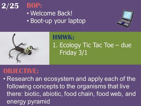 2/25 BOP: Welcome Back! Boot-up your laptop OBJECTIVE: Research an ecosystem and apply each of the following concepts to the organisms that live there:
