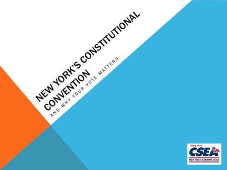 NEW YORK’S CONSTITUTIONAL CONVENTION AND WHY YOUR VOTE MATTERS.