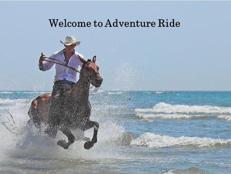 Welcome to Adventure Ride. An enormous destination for having a horse riding vacation is Baltic States which are well known for its hospitality as well.