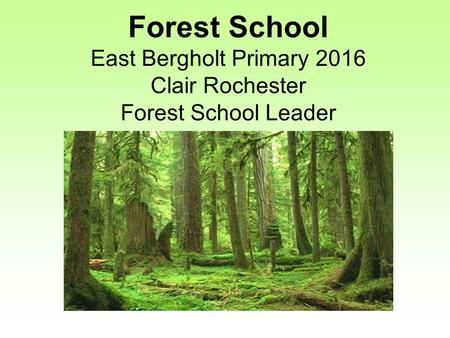 Forest School East Bergholt Primary 2016 Clair Rochester Forest School Leader.