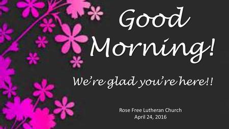 Good Morning! Rose Free Lutheran Church April 24, 2016 We’re glad you’re here!!